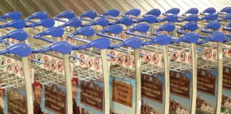 Jakie prawa ma osoba zameldowana?