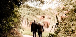 Kto dostanie 250 zł do emerytury?