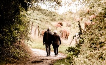 Co ma wpływ na wysokość emerytury?