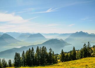 W jakim banku komornik nie może zająć konta?