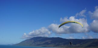 W jaki sposób Google Ads pozwala mierzyć skuteczność kampanii?