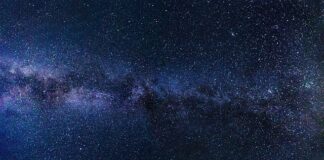 Jaki system monitoringu wybrać?