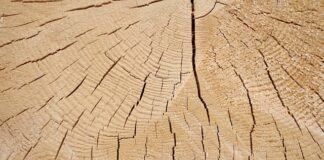 Jak sprawdzić logi z routera?