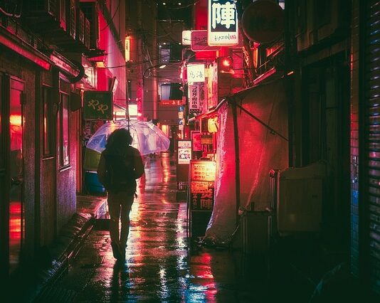 W jakim języku mówi się w Finlandii?